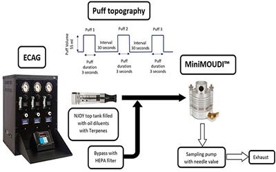 Modeled Respiratory Tract Deposition of Aerosolized Oil Diluents Used in Δ9-THC-Based Electronic Cigarette Liquid Products